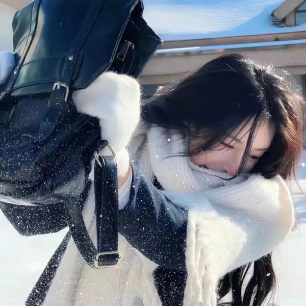 边城侠盗